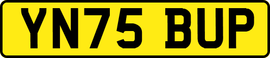 YN75BUP