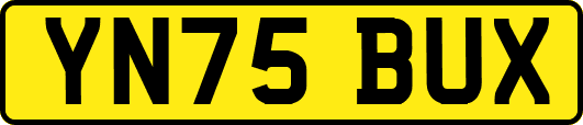 YN75BUX