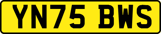 YN75BWS