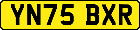 YN75BXR