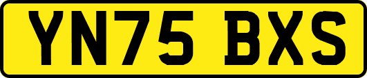 YN75BXS