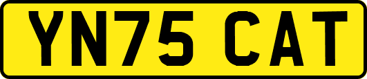 YN75CAT