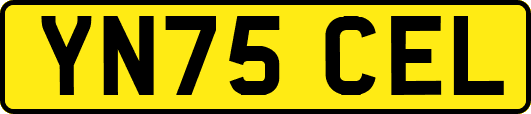 YN75CEL
