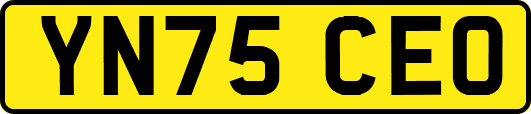 YN75CEO