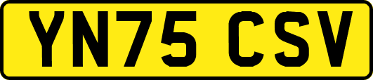 YN75CSV