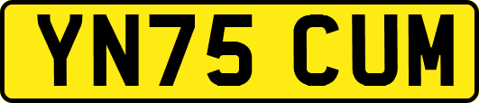 YN75CUM
