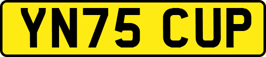 YN75CUP