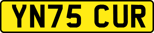 YN75CUR