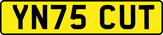 YN75CUT