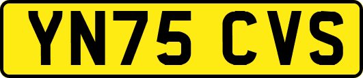 YN75CVS