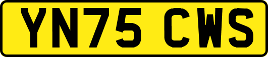 YN75CWS
