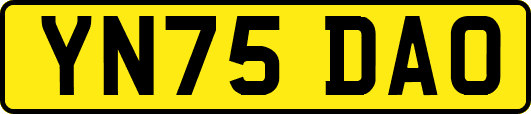 YN75DAO