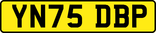 YN75DBP