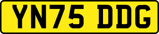 YN75DDG