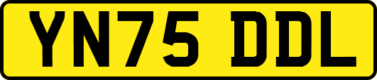 YN75DDL