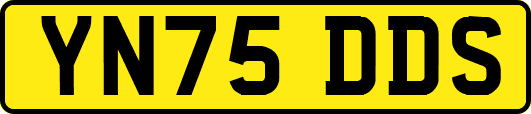 YN75DDS