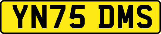 YN75DMS