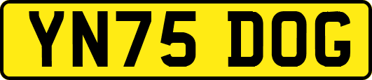 YN75DOG
