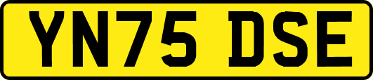 YN75DSE