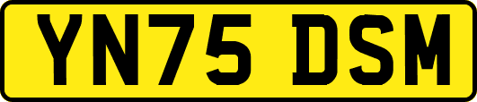 YN75DSM