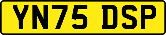 YN75DSP