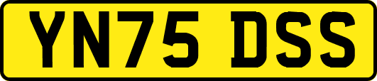 YN75DSS