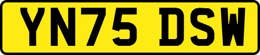 YN75DSW