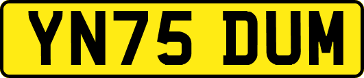 YN75DUM