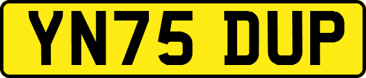 YN75DUP