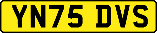YN75DVS