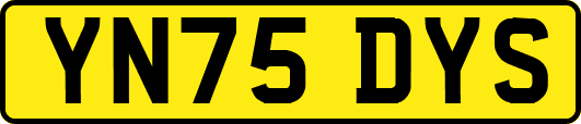 YN75DYS