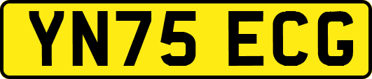 YN75ECG