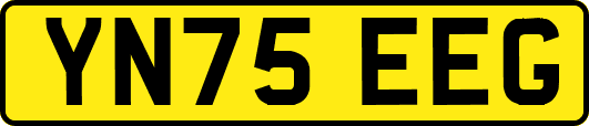 YN75EEG
