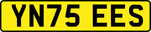 YN75EES