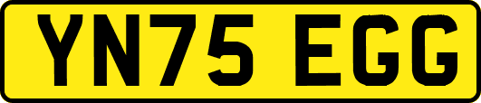 YN75EGG