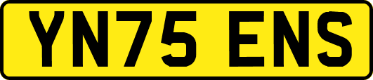 YN75ENS