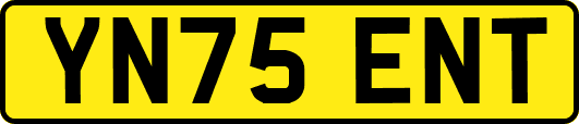 YN75ENT
