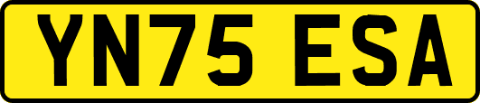 YN75ESA