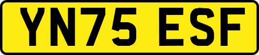YN75ESF
