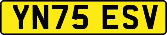 YN75ESV