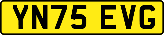 YN75EVG