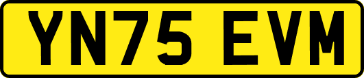 YN75EVM