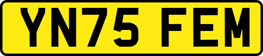 YN75FEM