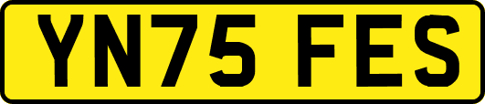 YN75FES