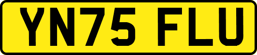 YN75FLU