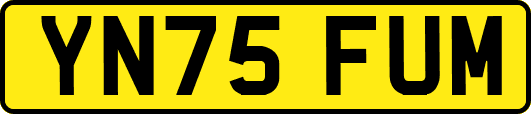 YN75FUM