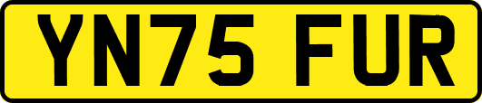 YN75FUR