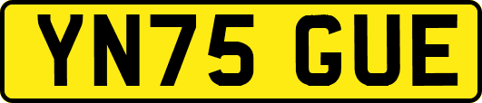 YN75GUE