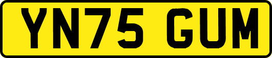 YN75GUM