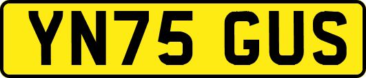 YN75GUS